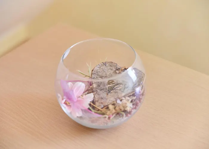 Gaestehaus Binz-meyer Grainskopf * Lieser